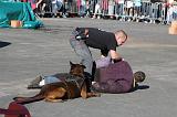 ARRESTATION POLICE 018